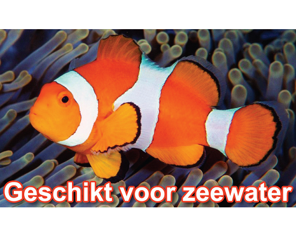 Aquaforte Ecomax EC-Serie 10000 Vijverpomp - Afbeelding 3